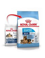 ROYAL CANIN Maxi Starter Mother&Babydog 30 kg (2 x 15 kg) sausas maistas nėščioms ir žindančioms kalėms bei 4–8 savaičių amžiaus šuniukams, didelėms veislėms