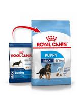 ROYAL CANIN Maxi Puppy  30 kg ( 2 x 15 kg) sausas maistas šuniukams nuo 2 iki 15 mėnesių amžiaus, didelės veislės