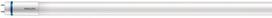 Philips Master 8W T8 White