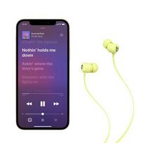 ausines earphones 2 - Beats Flex Yellow (Geltonos) - 13 nuotrauka