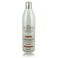 AlfaParf Salone Magnificent šampūnas dažytiems plaukams - 500 ml.