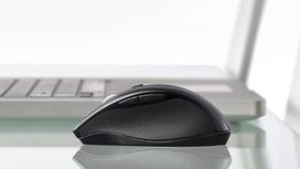 pelite - Logitech M705 - 8 nuotrauka