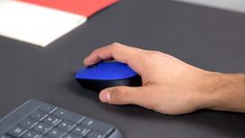 melyna pele - Logitech M171 Blue (Mėlyna) - 4 nuotrauka