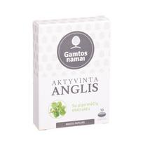 anglis -  GAMTOS NAMAI AKTYVINTA ANGLIS SU PIPIRMĖČIŲ EKSTRATKTU, 10 kapsulių  - 1 nuotrauka