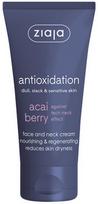 acai uogos -  ZIAJA Acai uogų maitinantis ir regeneruojantis veido ir kaklo kremas, 50 ml - 1 nuotrauka