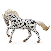 COLLECTA Knabstrupper kumelė, marga, (XL), 88720