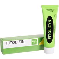  FITOLIZIN, valgomoji pasta, 100 g 