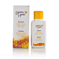 Natura House šampūnas šviesiems plaukams su medumi, 250 ml