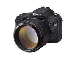 ef canon - Canon EF 85mm F1.2L II USM - 7 nuotrauka