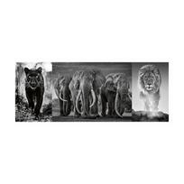 Dėlionė Ravensburger Triptychon, 1000 vnt.