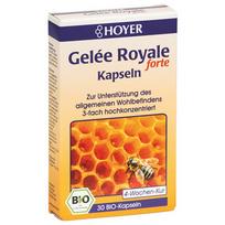 HOYER Bičių pienelis. Maisto papildas, ekologiškas