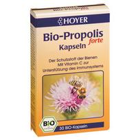 Propolis. Maisto papildas, ekologiškas
